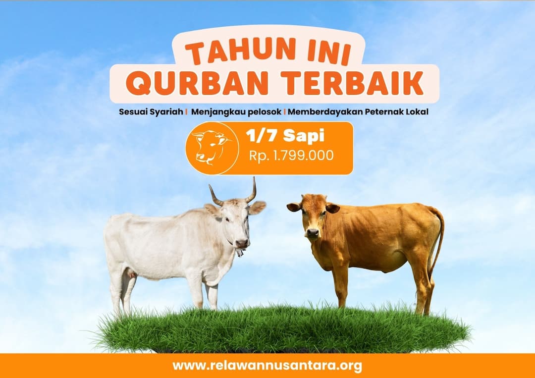 Qurban Sapi 1/7