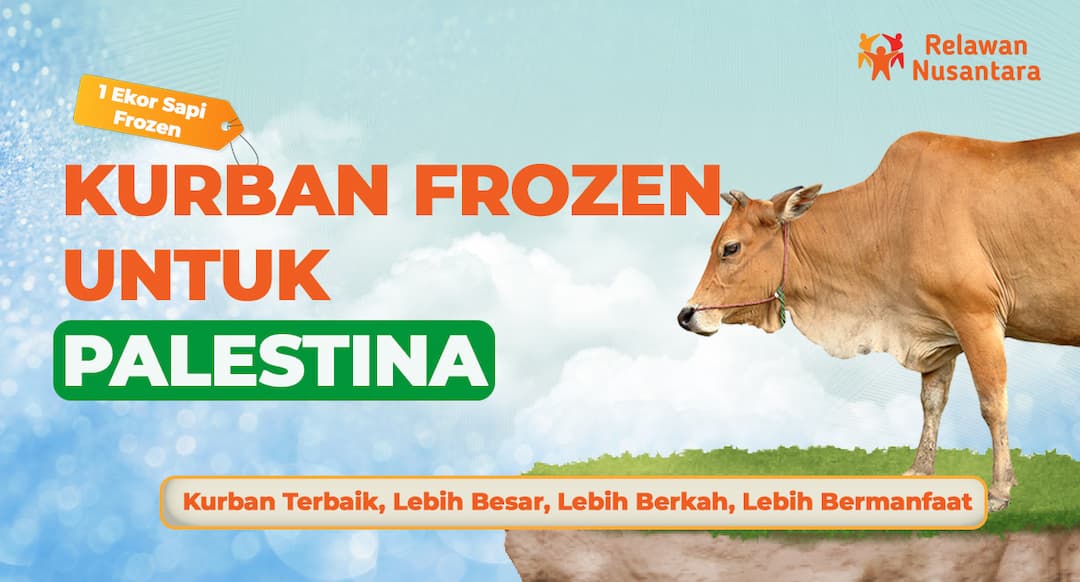 Kurban Frozen Sapi untuk Palestina
