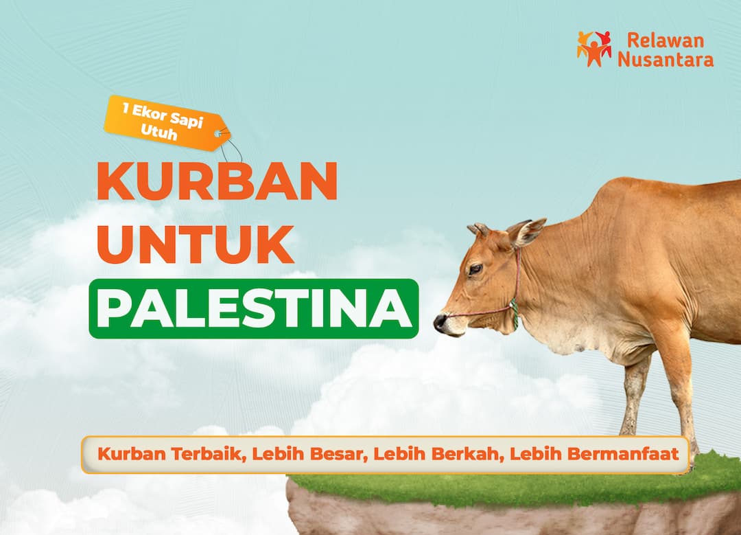 Kurban Sapi Utuh untuk Palestina
