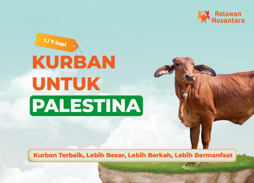 Kurban Frozen Sepertujuh Sapi Palestina