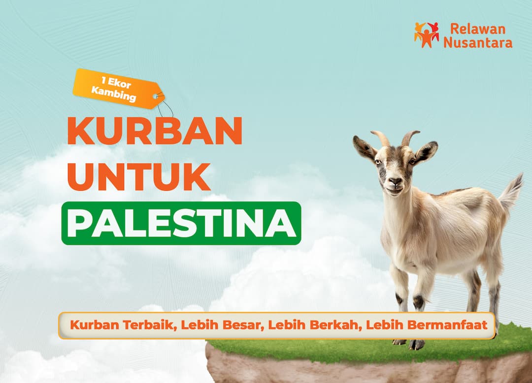 Kurban Frozen Domba untuk Palestina