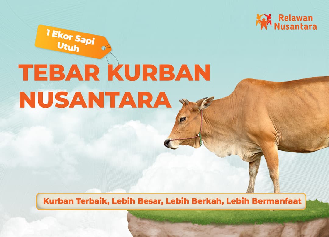 Kurban Sapi Utuh