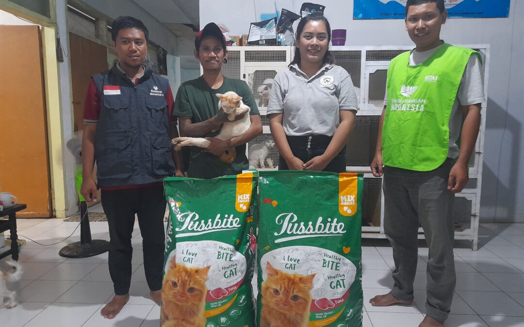 Dukungan Relawan Nusantara untuk Pakan dan Perawatan Kucing di Jember