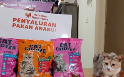 Relawan Nusantara Luaskan Manfaat: Bantu Shelter Clow Rawat Kucing & Anjing Terlantar di Bogor