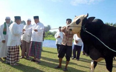 Hikmah dan Keutamaan Ibadah Kurban: Saatnya Luaskan Manfaat Kepedulian