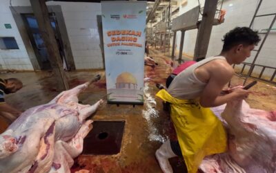 Luaskan Manfaat: Relawan Nusantara Salurkan Sedekah Daging untuk Pengungsi Gaza