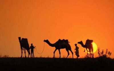 Hijrah Tak Selalu Jauh, Kadang Cukup Satu Langkah Lebih Baik