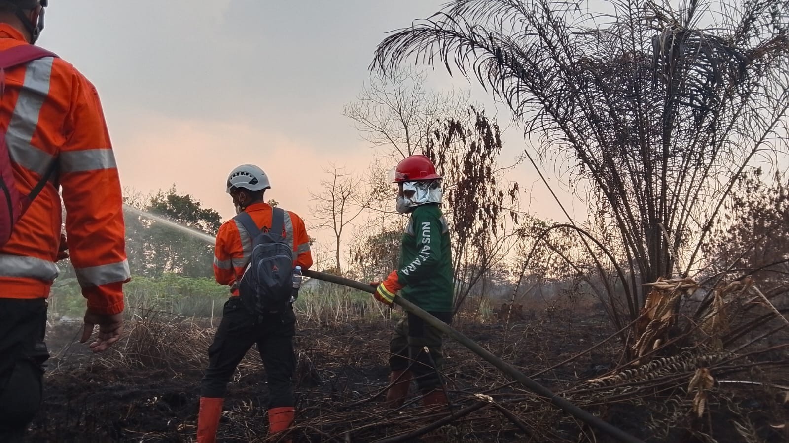 Relawan Nusantara menggunakan selang air sedang memadamkan kebakaran hutan dan lahan (karhutla) di Kalimantan.