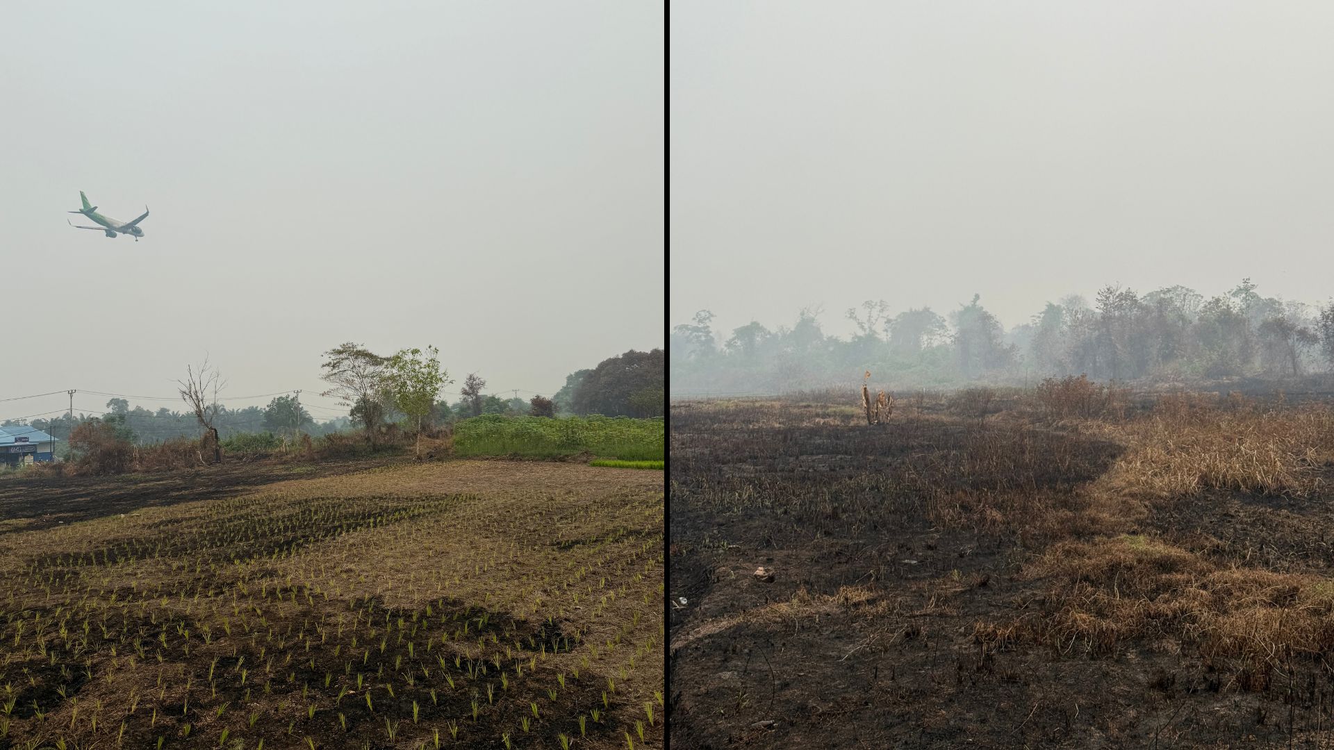 Kondisi lahan gambut yang terbakar dan diselimuti asap akibat karhutla di Kabupaten Kubu Raya Kalimantan Barat.