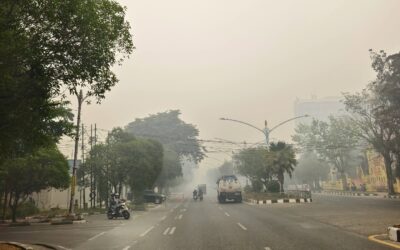 Kabut Asap Karhutla: Apa yang Harus Dilakukan Saat Kualitas Udara Memburuk?