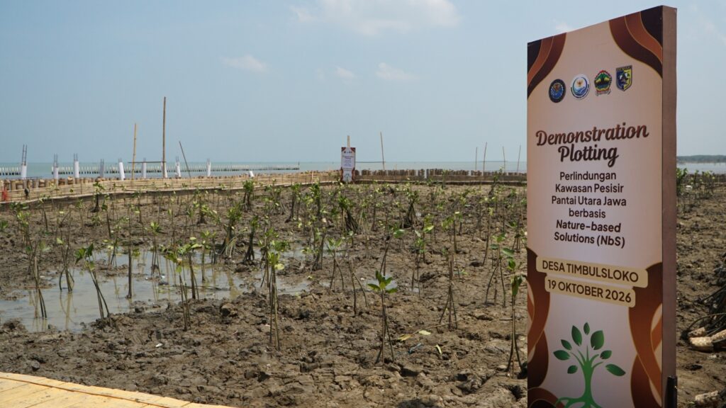 Area penanaman bibit mangrove di Desa Timbulsloko Demak dengan standing banner Demonstration Plotting Perlindungan Kawasan Pesisir.