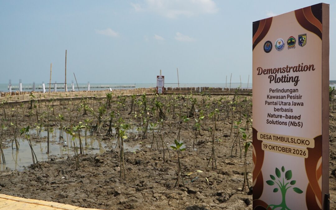 Area penanaman bibit mangrove di Desa Timbulsloko Demak dengan standing banner Demonstration Plotting Perlindungan Kawasan Pesisir.