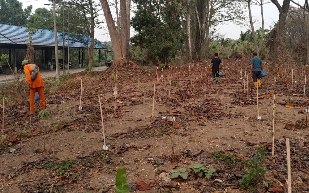Relawan dan petugas melakukan pemeliharaan di area penghijauan eks-TPA Basirih Banjarmasin.